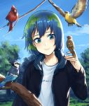  1girl alternate_costume bangs bird bird_on_hand bird_request blue_eyes blue_hair blue_jacket clothes_writing clouds earth-chan green_hair hand_up highres jacket multicolored_hair open_clothes open_jacket original outdoors shinidei shirt short_hair sky smile solo tree tree_branch upper_body white_shirt 