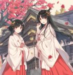  2girls bell black_hair blush eyebrows_visible_through_hair fusou_(kantai_collection) hair_ornament hakama japanese_clothes jingle_bell kantai_collection leaf long_hair long_sleeves maple_leaf miko mitsuyo_(mituyo324) multiple_girls open_mouth red_eyes red_hakama rope short_hair shrine tree wide_sleeves yamashiro_(kantai_collection) 