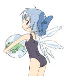  bow cirno frog kusaba one-piece_swimsuit school_swimsuit solo swimsuit touhou 
