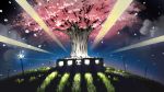  aria cherry_blossoms lights mizunashi_akari night train 
