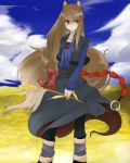  brown_hair highres holo red_eyes spice_and_wolf tail tansuke wheat wolf_ears 