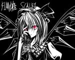  character_name flandre_scarlet red_eyes touhou wings 
