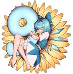  (9) 1girl barefoot blue_dress blue_hair blue_ribbon bow cirno closed_eyes dress flower hair_bow highres hug ice ice_wings mefomefo object_hug puffy_short_sleeves puffy_sleeves ribbon shirt short_hair short_sleeves solo sunflower touhou white_shirt wings 