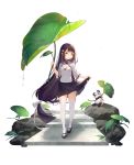  1girl bangs black_hair blunt_bangs breasts eyebrows_visible_through_hair full_body hair_ornament highres leaf_umbrella lifted_by_self long_hair low-tied_long_hair mary_janes open_mouth panda philomelalilium shoes simple_background skirt skirt_lift small_breasts solo standing thigh-highs very_long_hair white_background white_legwear yellow_eyes 