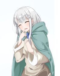  bard blue_flower cape collared_cape elf emilia_(re:zero) flower green_cape green_hat green_sleeves hair_flower hair_ornament hat highres leaf_hair_ornament pointy_ears re:zero_kara_hajimeru_isekai_seikatsu rose shokobr stirrup_footwear violet_eyes white_flower white_rose x_hair_ornament 