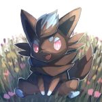  alternate_color between_legs commentary_request fangs flower full_body fur gen_5_pokemon hand_between_legs highres looking_to_the_side no_humans open_mouth pink_eyes pink_flower pokemon pokemon_(creature) shiny_pokemon sitting smile spread_legs tongue yukichi_(tsuknak1) zorua 