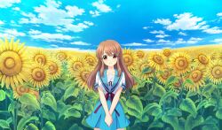  1girl asahina_mikuru blue_sailor_collar blue_skirt blue_sky brown_eyes brown_hair cinderella_series closed_mouth clouds field flower flower_field game_cg hachigatsu_no_cinderella_nine highres kita_high_school_uniform long_hair looking_at_viewer non-web_source official_art outdoors red_ribbon ribbon sailor_collar school_uniform serafuku shirt short_sleeves skirt sky smile solo standing summer_uniform sunflower sunflower_field suzumiya_haruhi_no_yuuutsu v_arms white_shirt 