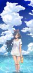  1girl absurdres anjerain black_eyes black_hair clouds floating_hair ganaha_hibiki highres holding holding_clothes holding_footwear idolmaster idolmaster_(classic) looking_at_viewer ocean sandals shirt sky smile solo standing white_shirt 