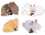  4girls ahoge amiya_(arknights) animal_ears arknights artist_request bangs black_jacket bow brown_hair bunny_tail cape chibi closed_eyes frostnova_(arknights) green_bow grey_eyes grey_hair hair_between_eyes hair_bow hair_ornament hair_over_one_eye hairclip half-closed_eyes highres jacket knees_to_chest kroos_(arknights) long_hair looking_at_another multiple_girls no_shoes rabbit rabbit_ears ribbed_legwear savage_(arknights) sidelocks simple_background sleeping socks source_request swept_bangs tail white_background 