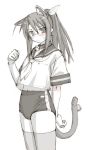  blush buruma cat_ears glasses hasegawa_chisame kasuga_yukihito mahou_sensei_negima mahou_sensei_negima! monochrome ponytail school_uniform serafuku sketch thighhighs 