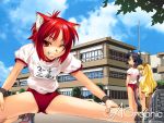  buruma cat_ears gagraphic gym_uniform hiyohiyo red_eyes red_hair redhead stretch tail track_and_field wallpaper watermark wink 