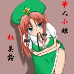  blue_eyes breasts cleavage hong_meiling red_hair redhead sanaka solo touhou 