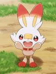  ao_anpk blurry blurry_background bunny_day commentary_request fang gen_8_pokemon grass hands_up looking_up no_humans open_mouth pokemon pokemon_(creature) rabbit scorbunny smile standing starter_pokemon tongue 