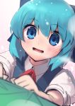  1girl :d blue_eyes blue_hair blue_vest blurry blurry_foreground blush boa_(brianoa) cirno collared_shirt commentary depth_of_field english_commentary eyebrows_visible_through_hair highres looking_at_viewer open_mouth puffy_short_sleeves puffy_sleeves shirt short_sleeves smile solo touhou upper_body vest white_shirt wing_collar 