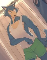  1boy beastars black_eyes collarbone commentary_request curtains furry furry_male green_shorts hierotubas legoshi male_focus pectoral_cleavage pectorals scar scar_on_face shirt shorts solo tank_top white_shirt wolf_boy 