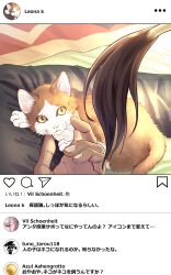 1boy animal cat commentary_request crowdance dark-skinned_male dark_skin fake_phone_screenshot fake_screenshot highres instagram leona_kingscholar lion_tail tail translation_request twisted_wonderland vil_schoenheit 