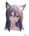  1girl amopui animal_ear_fluff animal_ears arknights bangs black_hair brown_eyes collarbone commentary eyebrows_visible_through_hair food food_in_mouth hair_between_eyes highres long_hair looking_at_viewer mouth_hold pocky simple_background solo texas_(arknights) white_background wolf_ears 