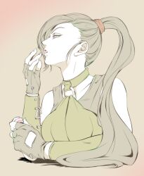  1girl applying_makeup arm_guards bare_shoulders brown_background collarbone commentary_request dragon_quest dragon_quest_xi fingerless_gloves gloves green_shirt grey_eyes grey_gloves grey_hair grey_sports_bra high_ponytail highres holding limited_palette looking_ahead martina_(dq11) myukom o-ring o-ring_top parted_lips pink_lips ponytail profile shirt solo sports_bra upper_body 