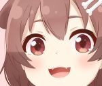  1girl :d animal_ears bangs blush bone_hair_ornament brown_background brown_eyes brown_hair cartoon_bone close-up commentary_request dog_ears dog_girl face fangs hair_between_eyes hair_ornament hairclip hololive inugami_korone ixia_(ixia424) looking_at_viewer open_mouth simple_background smile solo tongue upper_teeth virtual_youtuber 