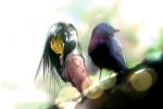  bird birds houraisan_kaguya touhou yae_(artist) 