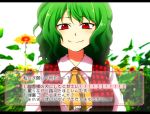  ascot choice fake_screenshot flower green_hair kazami_yuuka looking_at_viewer mokku plaid pov red_eyes short_hair smile solo sunflower touhou translated visual_novel wavy_hair 