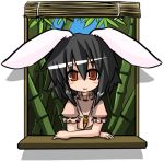  bamboo bamboo_forest black_hair bunny_ears carrot chibi forest inaba_tewi nature rabbit_ears short_hair touhou 