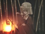  bamboo_forest forest gawa hair_over_one_eye hat lantern nature paper_lantern saigyouji_yuyuko solo touhou 
