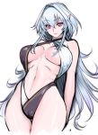  1girl bare_shoulders breasts fate/prototype fate_(series) jonylaser long_hair looking_at_viewer merlin_(fate/prototype) navel silver_hair simple_background smile solo swimsuit underboob violet_eyes white_background 
