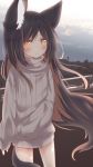  1girl animal_ears bangs black_hair blush brown_eyes brown_hair brown_sweater closed_mouth commentary_request daidai_ookami day eyebrows_visible_through_hair hair_between_eyes highres long_hair long_sleeves multicolored_hair original outdoors puffy_long_sleeves puffy_sleeves ribbed_sweater sleeves_past_wrists solo standing sweater tail turtleneck turtleneck_sweater two-tone_hair very_long_hair 