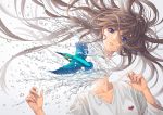  1girl bangs blue_eyes brown_hair common_kingfisher disembodied_head floating_hair grey_background hands_up heart highres kingfisher long_hair long_sleeves looking_at_viewer minami_(minami373916) original parted_lips shirt solo splashing surreal upper_body water white_shirt 