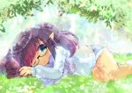  1girl ;o animal black-framed_eyewear black_cat black_hair blue_shorts cat commentary_request day feet_out_of_frame final_fantasy final_fantasy_xiv flower glasses green_eyes kouu_hiyoyo long_hair long_sleeves lying on_grass on_side one_eye_closed original outdoors parted_lips pointy_ears semi-rimless_eyewear short_sleeves shorts sleeves_past_wrists solo sweater twintails under-rim_eyewear white_flower white_sweater 