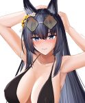  1girl animal_ear_fluff animal_ears azur_lane bikini black_bikini black_hair blue_eyes breasts bte59 covered_nipples eyebrows_visible_through_hair hands_in_hair highres kii_(azur_lane) kii_(poolside_persuasion)_(azur_lane) large_breasts long_hair looking_at_viewer simple_background solo swimsuit tying_hair upper_body white_background 