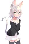  1girl :o absurdres alternate_costume animal_ear_fluff animal_ears bandages bangs bare_shoulders black_jacket black_legwear blush cat_ears cat_girl cat_tail chorome1122 collarbone commentary_request cowboy_shot dress fate/apocrypha fate_(series) green_eyes hand_on_own_chest hand_up highres jack_the_ripper_(fate/apocrypha) jacket long_sleeves looking_at_viewer off-shoulder_jacket off_shoulder scar scar_across_eye short_hair shoulder_tattoo silver_hair simple_background solo tail tattoo thigh-highs white_background white_dress zettai_ryouiki 
