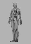  1other anatomy closed_mouth cursed_fallguy fall_guys full_body greyscale horror_(theme) monochrome original ribs shi_ha_chi skeleton skull standing what x-ray 