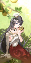  1girl apple bare_arms bare_shoulders black_hair blue_eyes closed_mouth cross-laced_clothes cross-laced_top crown day eyelashes eyeshadow feet_out_of_frame food frilled_shirt frills fruit gold_crown golden_apple grass halter_shirt halterneck highres holding holding_food holding_fruit in_tree jewelry kohanai_setsuna leaf lilith_(shining_nikki) lipstick lipstick_mark long_hair long_skirt looking_at_food makeup mini_crown nail_polish necklace nikki_(series) outdoors pink_eyeshadow pointy_nose red_lips red_nails red_ribbon red_skirt ribbon shade shining_nikki shirt sitting sitting_in_tree skirt solo tree very_long_hair wavy_hair white_shirt 