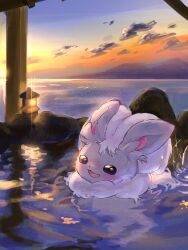  blush clouds grey_fur highres minccino namekuj1hey no_humans ocean onsen open_mouth orange_sky pokemon pokemon_(creature) pokemon_focus sky smile stone_lantern sunset water 