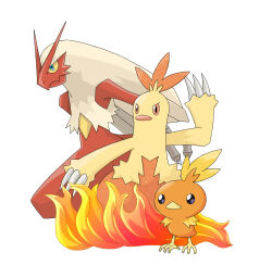  blaziken blue_eyes brown_sclera colored_sclera combusken evolutionary_line fire highres no_humans pokemon pokemon_(creature) simple_background solo standing torchic tozimete_yauyu white_background yellow_sclera 