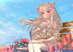  1girl animal_ears bare_shoulders bench blue_sky book bow cat_ears cat_girl commentary_request commission dress falling_petals flower frilled_dress frills garter_straps hair_ornament heart heart_hair_ornament highres indie_virtual_youtuber long_hair looking_at_viewer mashiro_yume_(vtuber) off-shoulder_dress off_shoulder open_book outdoors petals pink_flower pink_petals rainbow red_eyes sitting skeb_commission sky smile solo suzuri_suzuna thigh-highs tulip virtual_youtuber white_bow white_dress white_hair white_thighhighs wooden_bench 