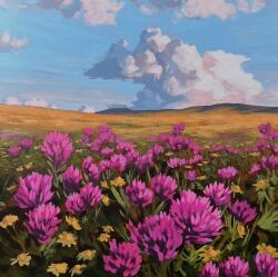  blue_sky clouds cloudy_sky evening field flower flower_field jimmusilpainter nature no_humans original pink_flower scenery sky 