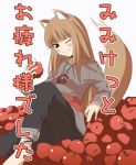  apple apples date_(artist) food fruit holo spice_and_wolf tail wolf_ears 