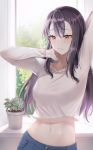  1girl absurdres arms_up black_hair brown_eyes closed_mouth crop_top denim expressionless eyebrows_visible_through_hair ffflilil highres indoors jeans long_hair long_sleeves looking_away navel original pants plant potted_plant shirt solo white_shirt window 