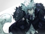  1boy animal_ears arknights bangs black_gloves black_jacket commentary_request fur_trim gloves grey_eyes hair_between_eyes highres jacket leopard_ears leopard_tail long_sleeves looking_at_viewer male_focus silver_hair silverash_(arknights) solo spica_1510 tail white_background 