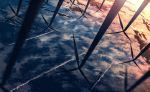  absurdres clouds cloudy_sky commentary_request highres night night_sky no_humans ocean original scenery signature sky skyrick9413 sunlight upside-down wind_turbine windmill 