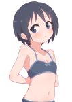  1girl :o adjusting_bra adjusting_clothes black_bra black_hair blue_bow blue_eyes blush bow bow_bra bra commentary_request flat_chest hatafuta kurosaki_honoka looking_at_viewer navel open_mouth short_hair simple_background solo stomach underwear upper_body white_background yama_no_susume 