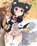  1girl animal_ear_fluff animal_ears bangs blue_eyes blurry blurry_background blush bow bow_panties bowtie broom cat_ears cat_tail dress eyebrows_visible_through_hair feet_out_of_frame frilled_dress frills garter_belt highres juliet_sleeves koharuko_(khrkhrk) leaf long_sleeves maid maid_dress maid_headdress navel open_mouth original panties puffy_sleeves red_bow red_neckwear short_hair solo tail thigh-highs underwear white_legwear white_panties wind wind_lift 