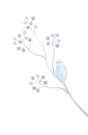  ayu_(mog) berry bird branch highres no_humans original signature simple_background white_background 