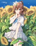  1girl blush brown_hair field flower flower_field green_eyes hairband highres long_hair looking_at_viewer midriff n2_(yf33) original outdoors ponytail scenery school_uniform serafuku sidelocks sky solo standing sunflower thighs uniform 