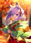  1girl :d ahoge animal_ear_fluff animal_ears autumn_leaves bangs blurry blurry_background blush breasts commentary_request day depth_of_field eyebrows_visible_through_hair fringe_trim green_kimono hair_ribbon hakama highres holding holding_leaf japanese_clothes kimono komari_channel leaf long_hair long_sleeves looking_at_viewer maple_leaf medium_breasts open_mouth outdoors purple_hair red_hakama ribbon sakura_komari shawl shiika_yuno smile solo thick_eyebrows tree violet_eyes virtual_youtuber white_ribbon wide_sleeves 