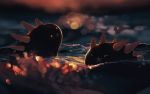  blurry bokeh closed_eyes closed_mouth depth_of_field floating gen_7_pokemon heart highres jiangxhi ocean pokemon pokemon_(creature) pokemon_(game) pyukumuku sunset waves 