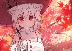  1girl animal_ear_fluff animal_ears autumn_leaves bangs blurry blurry_background blurry_foreground day depth_of_field eyebrows_visible_through_hair hair_between_eyes highres holding holding_umbrella inubashiri_momiji jacket kibisake leaf long_sleeves looking_at_viewer maple_leaf oriental_umbrella outdoors red_eyes red_umbrella ribbon-trimmed_sleeves ribbon_trim silver_hair sleeves_past_wrists solo thick_eyebrows touhou tree_branch two-handed umbrella upper_body white_jacket wide_sleeves wolf_ears 